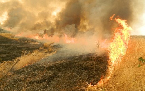 Armenians set fire to occupied Azerbaijani territories - PHOTOS
